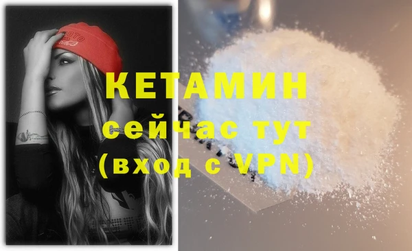 шишки Нижний Тагил