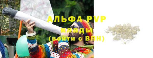 spice Кострома