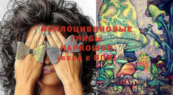 шишки Нижний Тагил
