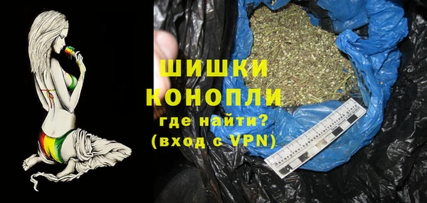 шишки Нижний Тагил