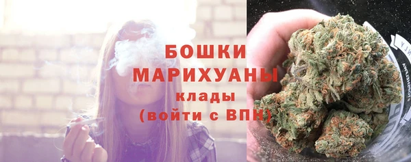 spice Кострома